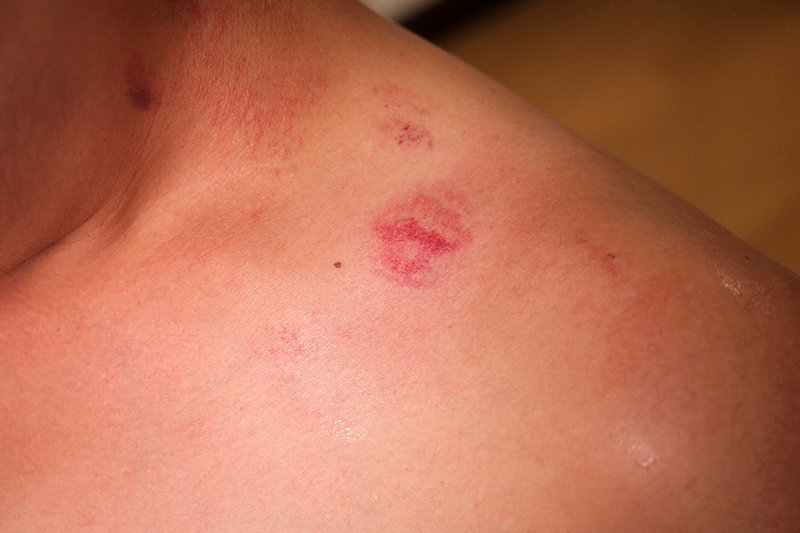 サンプル画像 11