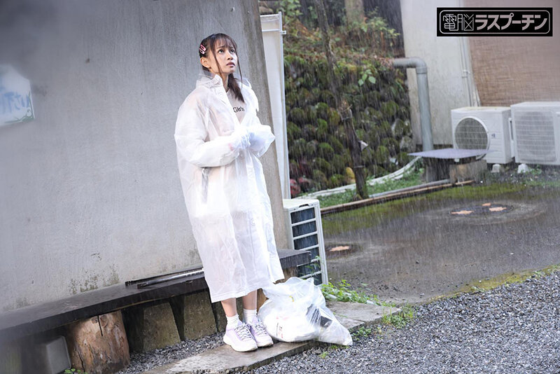 サンプル画像 4