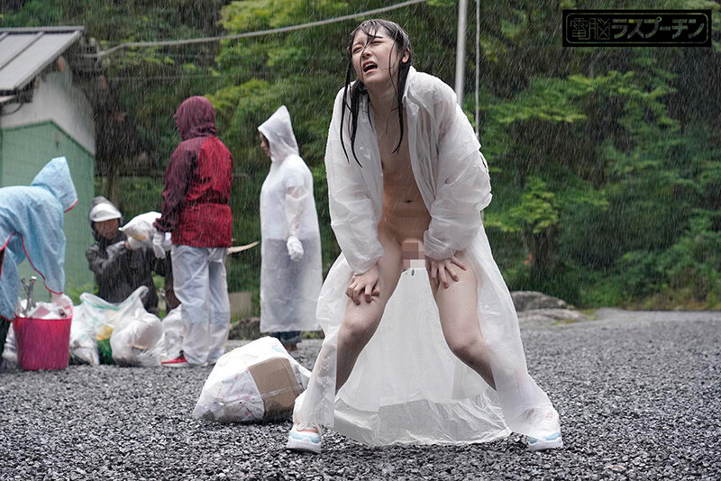 サンプル画像 11