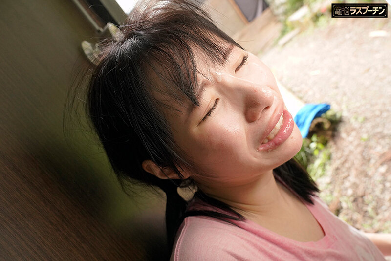 サンプル画像 5