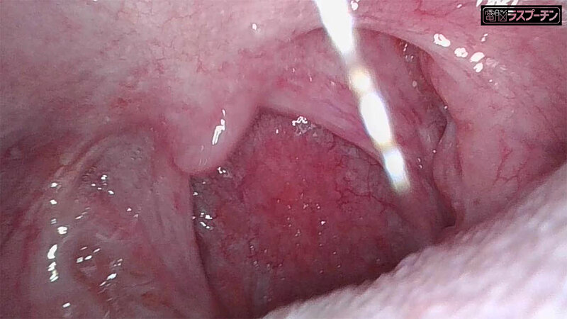 サンプル画像 17