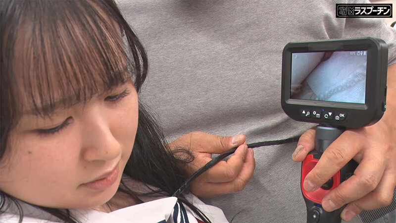 サンプル画像 3