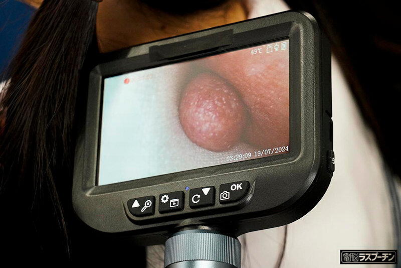 サンプル画像 4