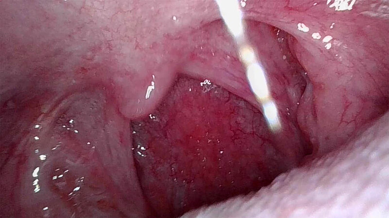 サンプル画像 12