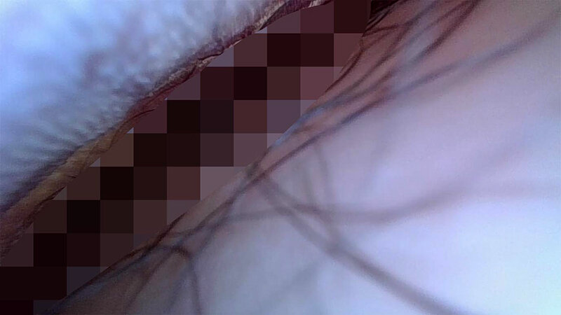 サンプル画像 6