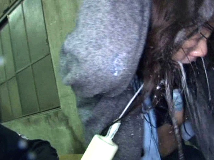 サンプル画像 14