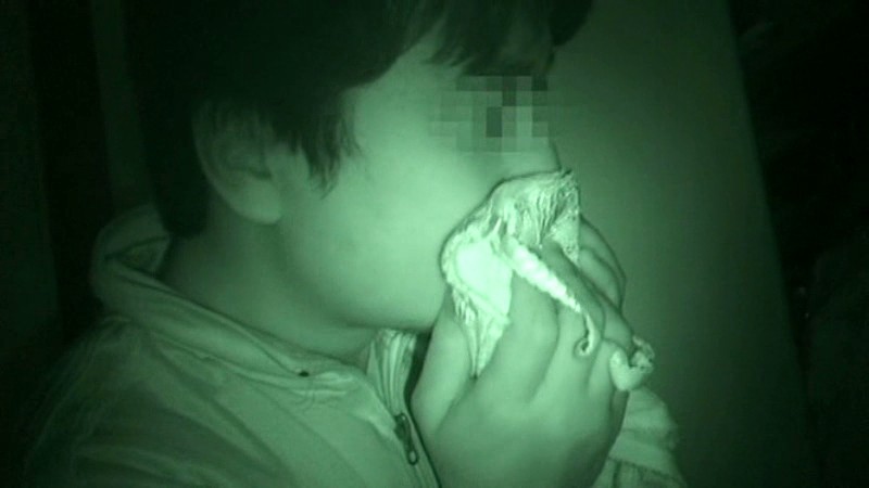 サンプル画像 2