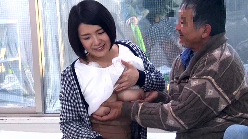 サンプル画像 12