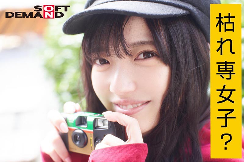 サンプル画像 5