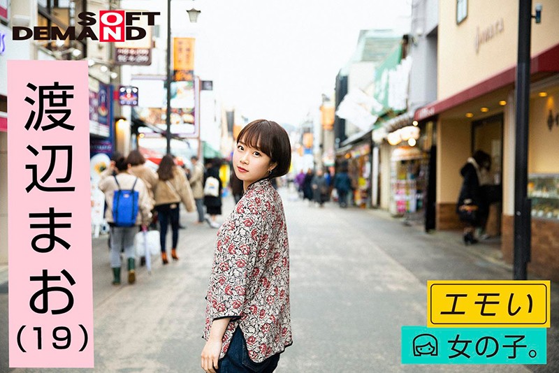 サンプル画像 16