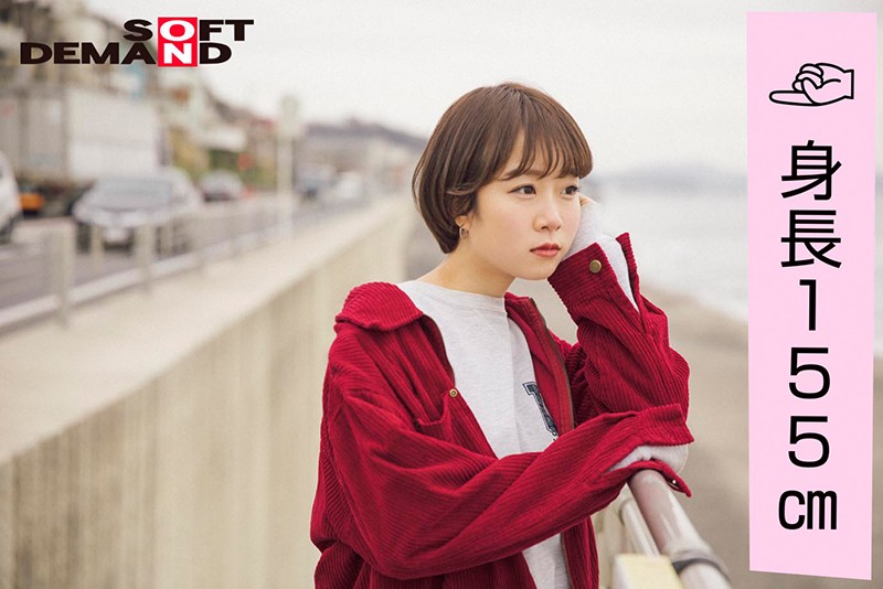 サンプル画像 6