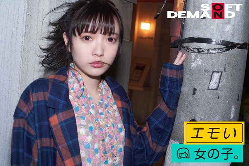 サンプル画像 15