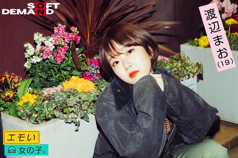 サンプル画像 15