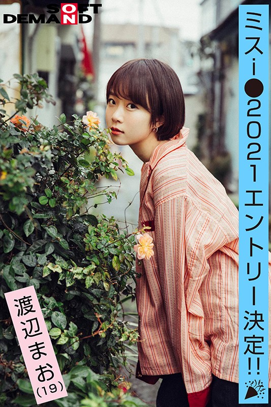 サンプル画像 16