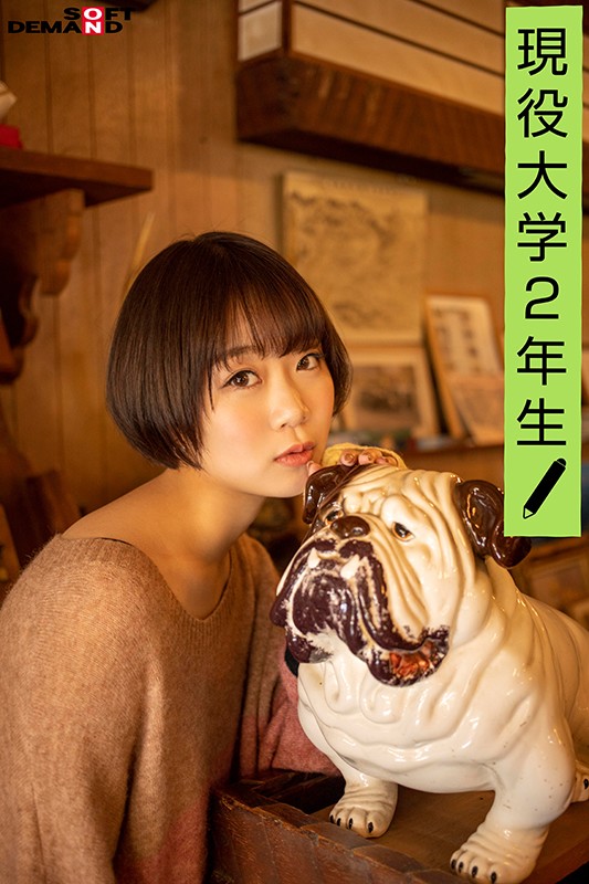 サンプル画像 4