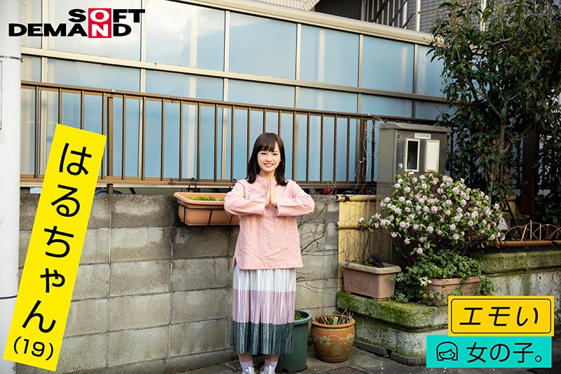 サンプル画像 18