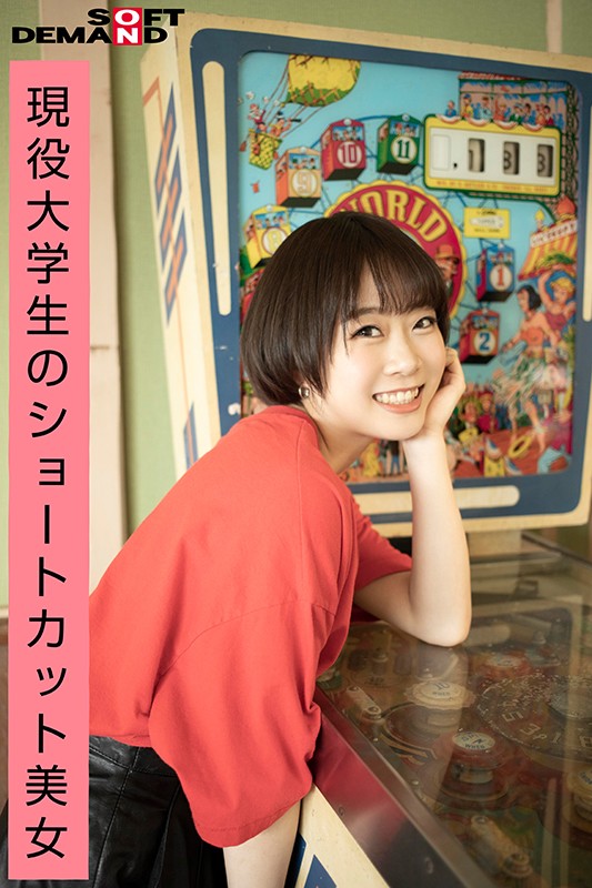 サンプル画像 4