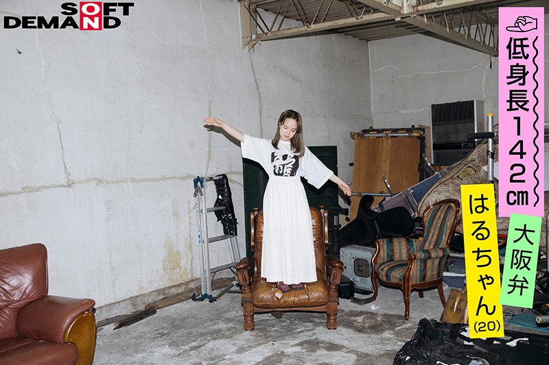 サンプル画像 4