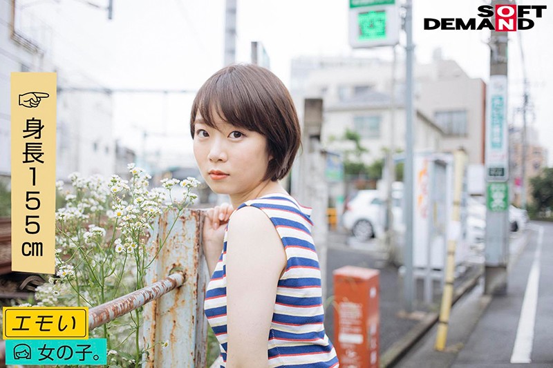 サンプル画像 15