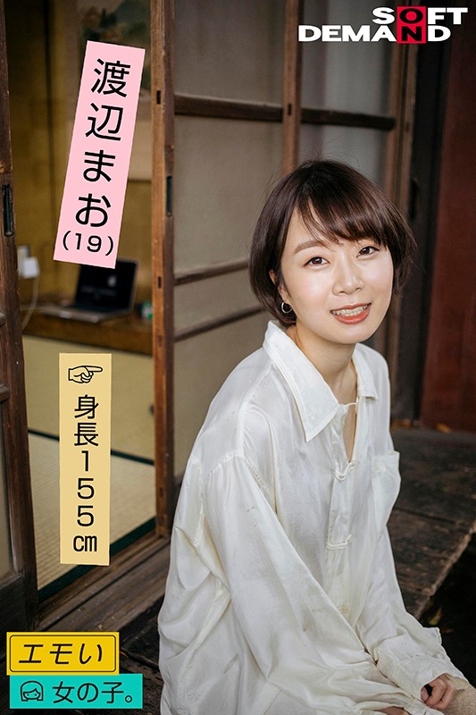 サンプル画像 16