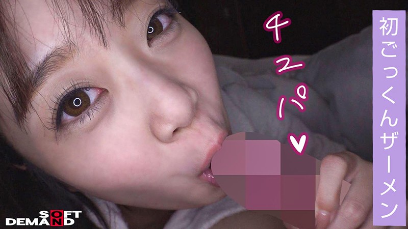 サンプル画像 14