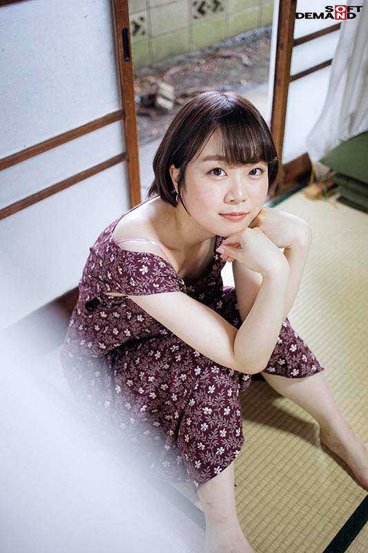 サンプル画像 3