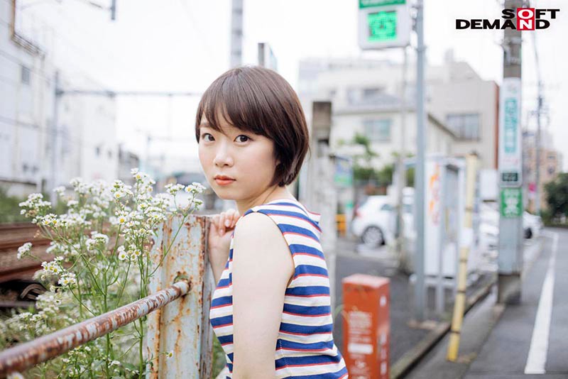 サンプル画像 6