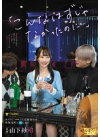 パッケージ画像