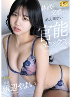 パッケージ画像