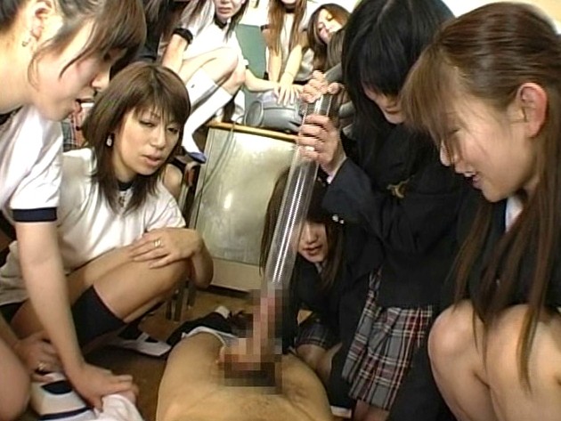 サンプル画像 6