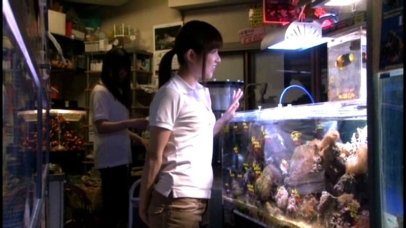 サンプル画像 17