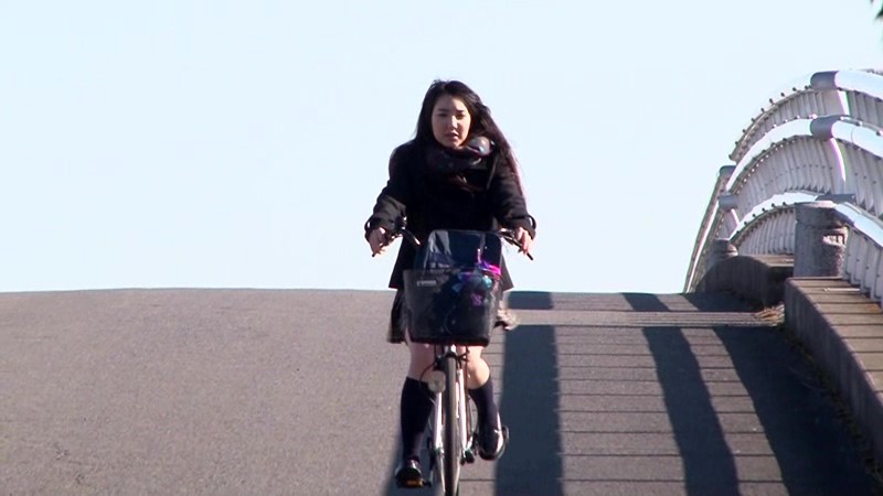 サンプル画像 15