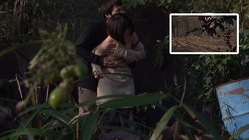 サンプル画像 18