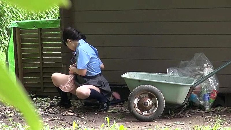 サンプル画像 4