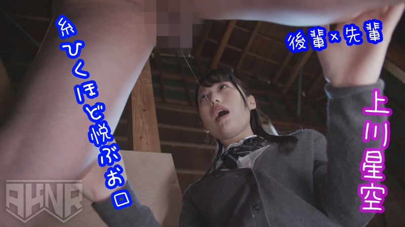 サンプル画像 17