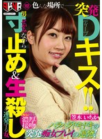 パッケージ画像