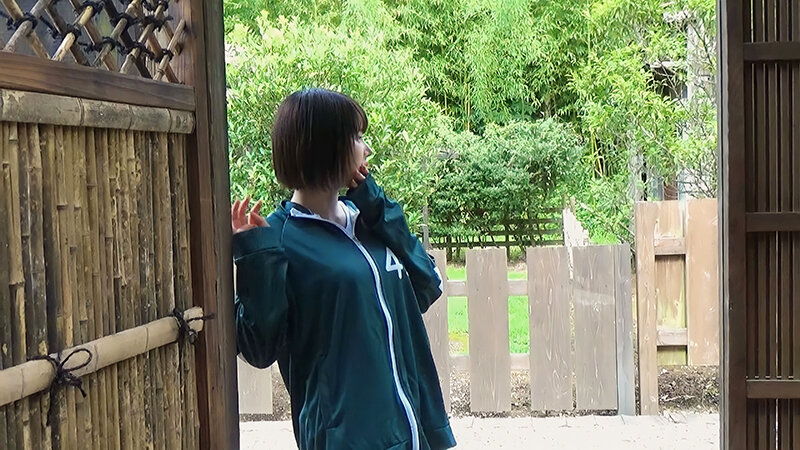 サンプル画像 3