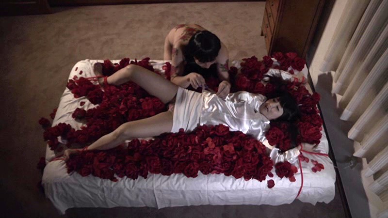 サンプル画像 17