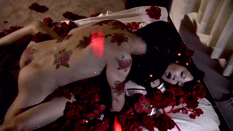 サンプル画像 19