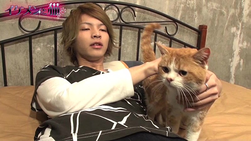 サンプル画像 11