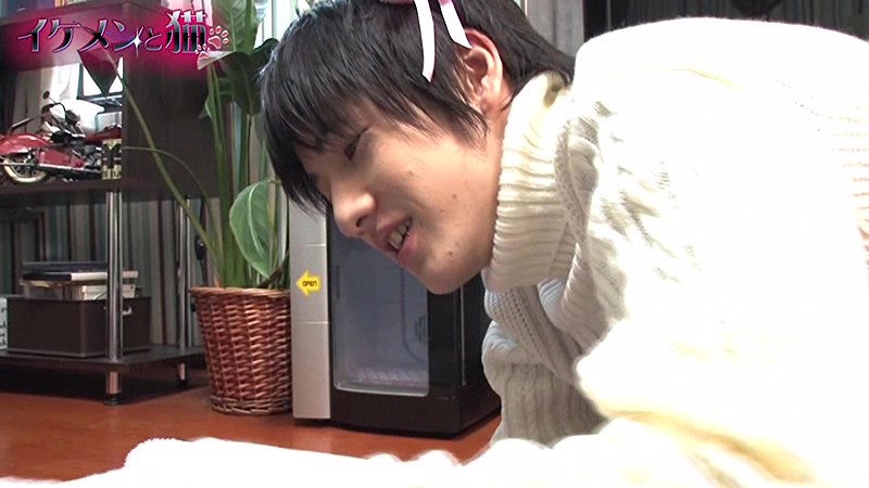 サンプル画像 13