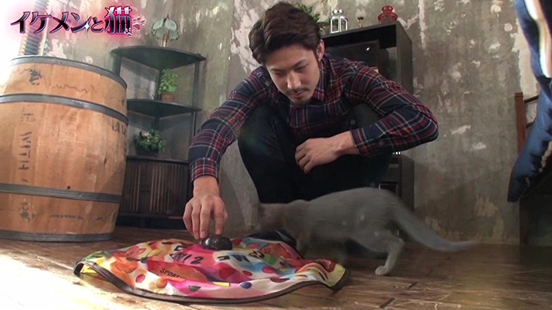 サンプル画像 17