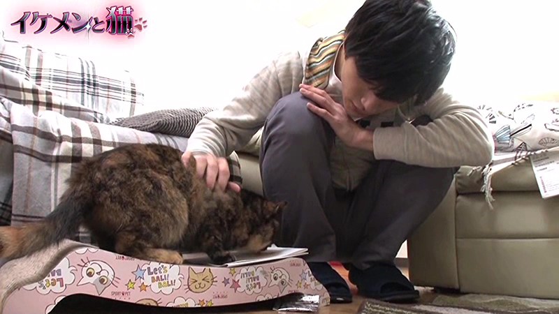 サンプル画像 3