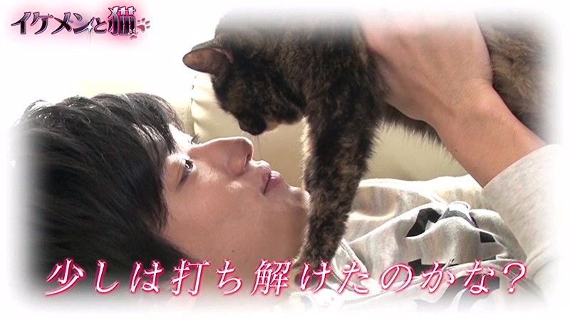 サンプル画像 5