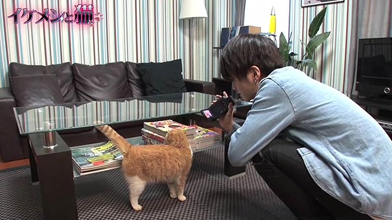 サンプル画像 6