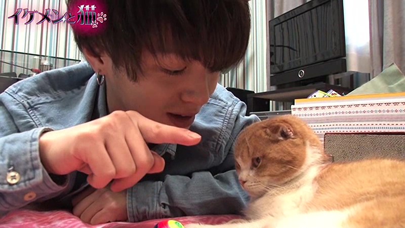 サンプル画像 7