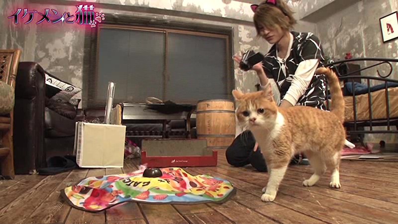 サンプル画像 10