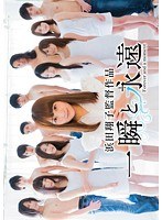 パッケージ画像