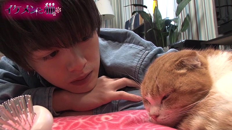 サンプル画像 9