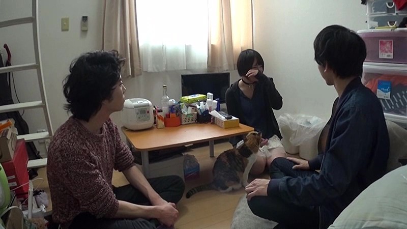 サンプル画像 13